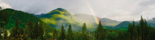 rainbow going over a mountain and forest